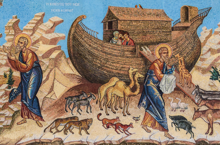 Marco Pinna: una piccola arca di Noè.